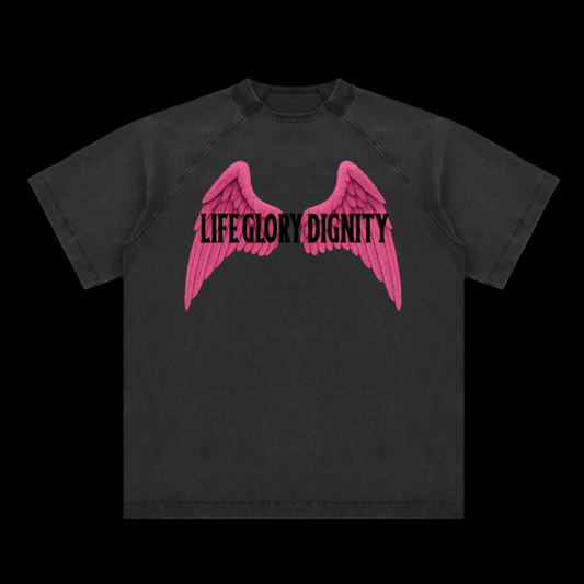 Vintage Washed Raglan Cotton "HEAL AND GROW" T-Shirt